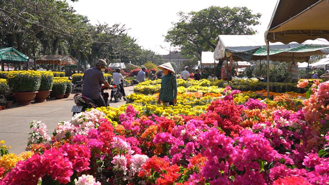 Chợ hoa Xuân hằng năm thu hút các hộ kinh doanh hoa, cây kiểng đến từ các tỉnh Tiền Giang, Bến Tre, Đồng Tháp và Long An