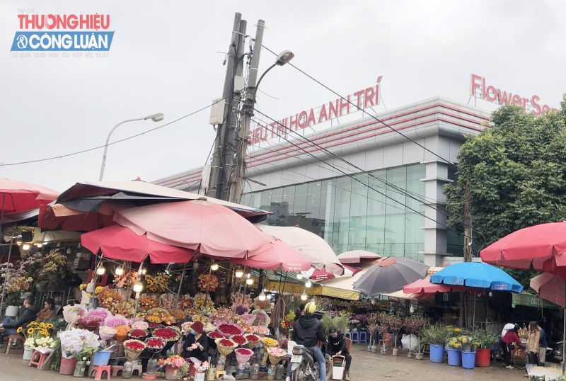 Dù Tết Nguyên đán Giáp Thìn 2024 chỉ còn mấy ngày nhưng chợ hoa Quảng An lâm cảnh đìu hiu, ảm đạm, vắng khách…