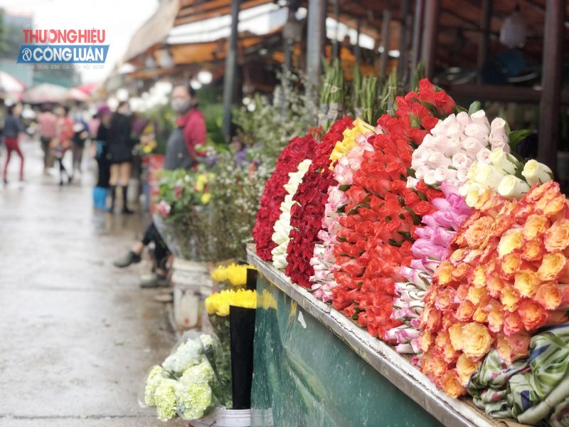 Theo anh Năm, hoa hồng năm nay mất giá hơn so với năm ngoái. Hiện tại, hoa hồng đẹp được bán với giá 300.000 đồng/bó/50 bông, loại ngắn là 120.000 đồng/bó.