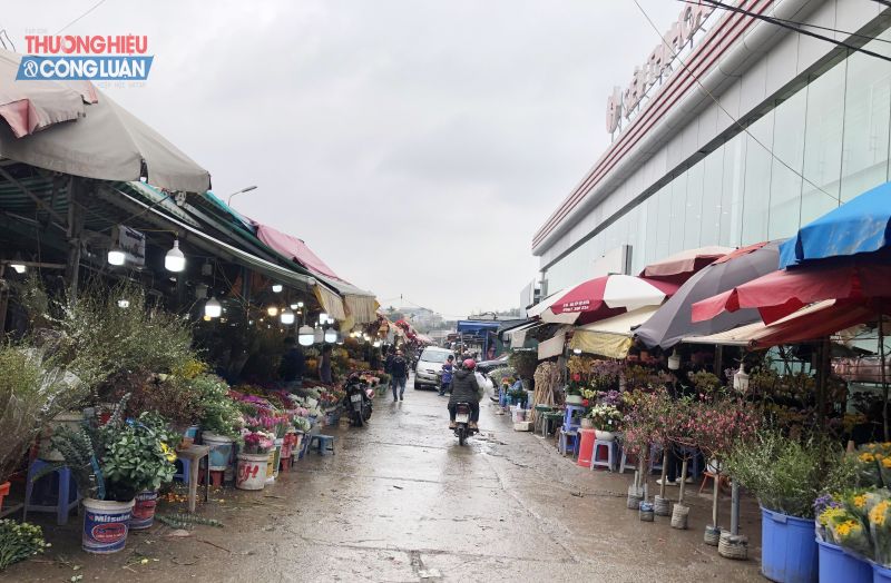 Chợ hoa Quảng An (Tây Hồ, TP  Hà Nội) từ lâu được biết đến là một trong những chợ đầu mối lớn ở Hà Nội, cung cấp hoa tươi cho nhiều địa phương lân cận: Vĩnh Phúc, Phú Thọ, Hà Nam.