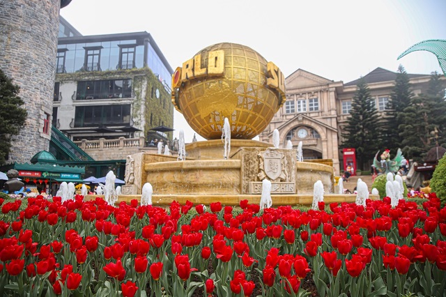 Hàng nghìn bông tulip đang khoe sắc tại Sun World Ba Na Hills