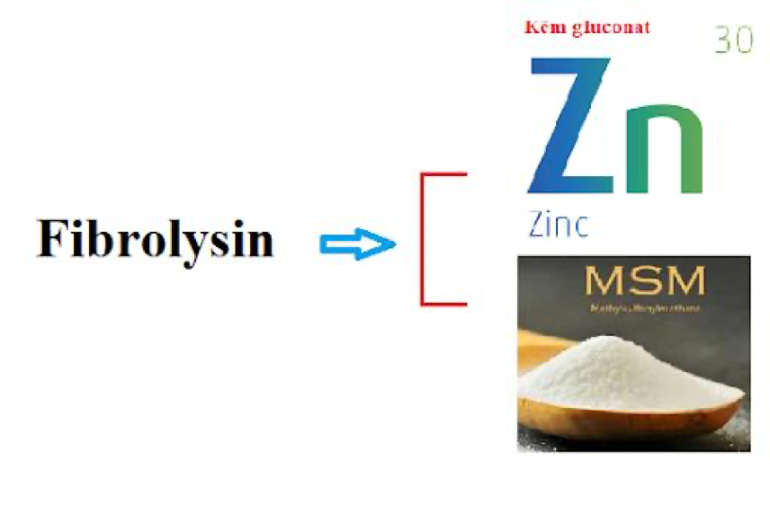 Fibrolysin giúp chống xơ hóa, tái cấu trúc đường thở