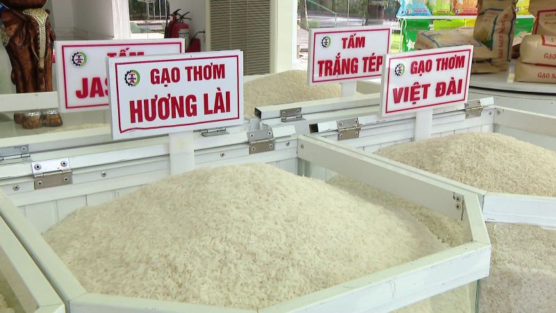 Giá lúa gạo hôm nay đi ngang so với hôm qua (Ảnh minh họa)