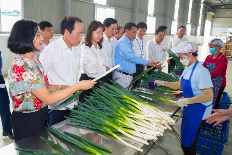 Lãnh đạo thành phố kiểm tra tại huyện An Dương