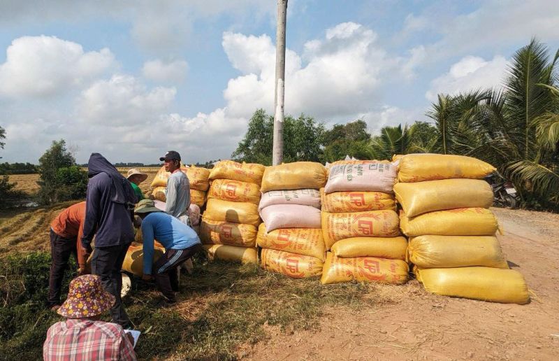 Đẩy mạnh sản xuất, kinh doanh, xuất khẩu lúa, gạo bền vững, minh bạch, hiệu quả trong tình hình mới