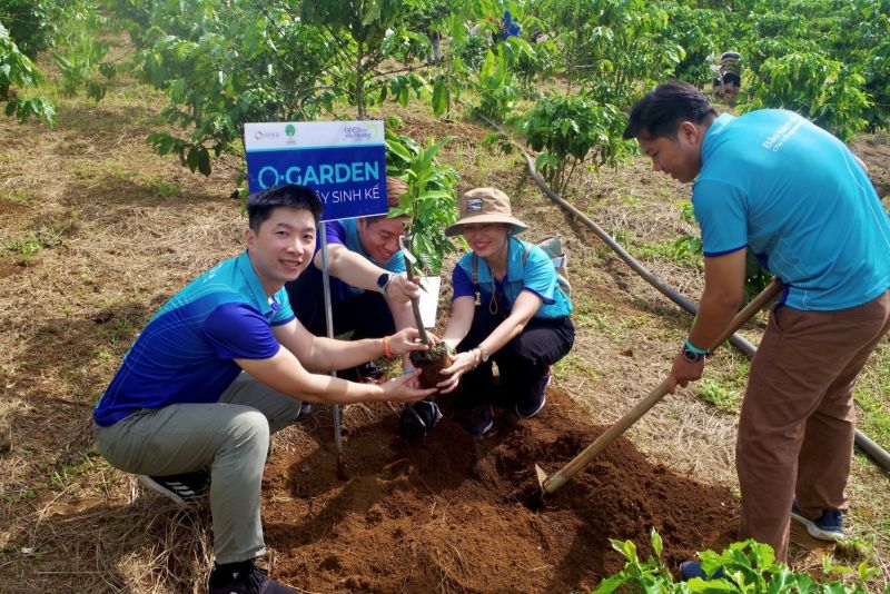 Hoạt động trồng cây sinh kế cùng đồng bào dân tộc thiểu số tại Lộc Tân, Bảo Lâm, Lâm Đồng