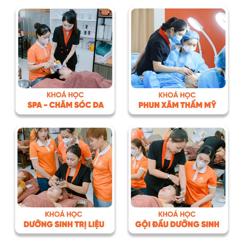 Các chuyên ngành đạo tạo tại Amy Academy (Ảnh: NVCC).