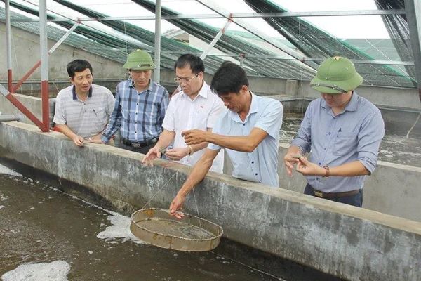 Nuôi trồng thủy sản mang lại hiệu quả kinh tế cao ở xã Mai Phụ (Lộc Hà), góp phần giúp địa phương đạt chuẩn nông thôn mới kiểu mẫu lĩnh vực nổi trội về sản xuất