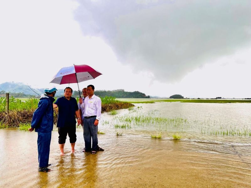 Lãnh đạo huyện, cùng phong ban kiểm tra thực tế diện tích lúa, hoa màu bị ngập lụt