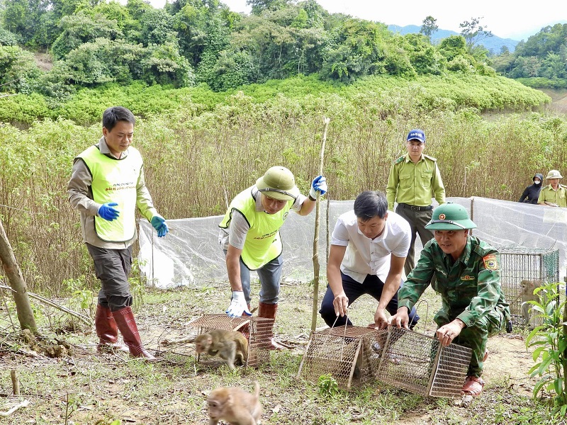 Hà Tĩnh: Tái thả 36 cá thể động vật hoang dã về môi trường tự nhiên