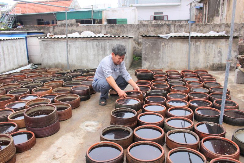 Làng nghề sản xuất nước mắm truyền thống Sa Châu, xã Giao Châu, huyện Giao Thủy, tỉnh Nam Định có tuổi đời hơn 200 năm. Hiện ở làng nghề sản xuất nước mắm truyền thống Sa Châu có hàng chục hộ gia đình tham gia sản xuất nước mắm với quy mô lớn.