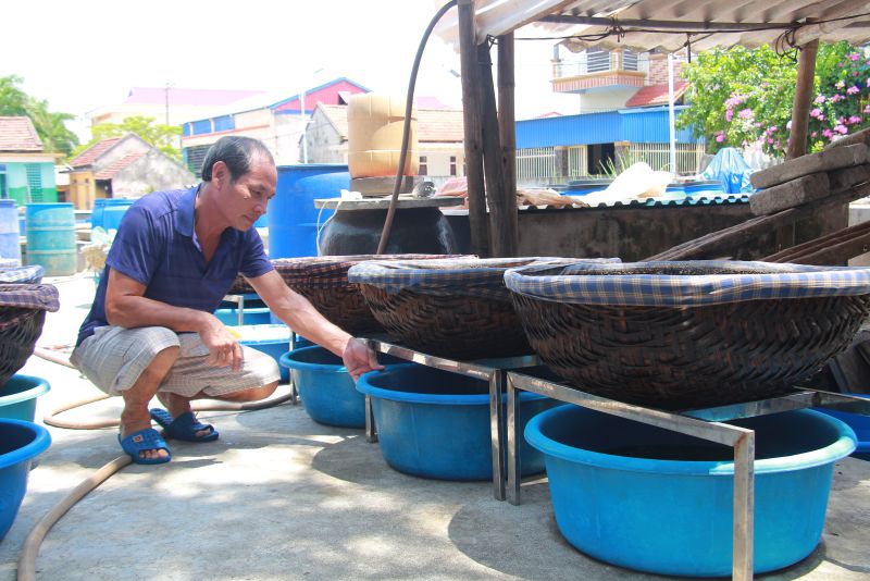 Gia đình anh Nguyễn Văn Hoàng, thôn Sa Châu, xã Giao Châu, huyện Giao Thủy cũng đã có nhiều năm sản xuất nước mắm truyền thống của ông cha để lại. Nhờ bám vào nghề sản xuất nước mắm truyền thống, mà gia đình anh có thu nhập ổn định.