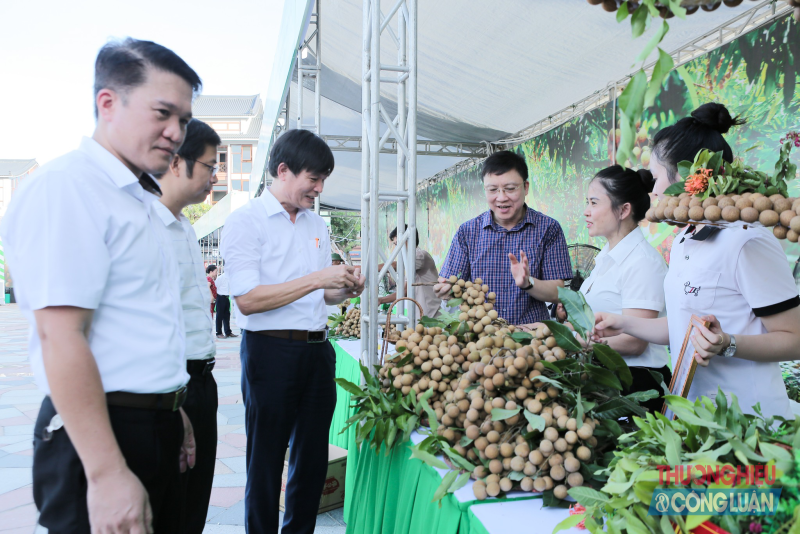 Tuần lễ tôn vinh nhãn lồng Hưng Yên là hoạt động nhằm tiếp tục giới thiệu, quảng bá và khẳng định chất lượng sản phẩm nhãn lồng Hưng Yên nói riêng và các mặt hàng nông sản tỉnh Hưng Yên nói chung đến với người tiêu dùng.