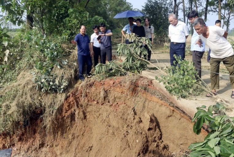 Chủ tịch UBND huyện Hoàng Long Biên kiểm tra tình trạng sạt lở đê bao nguy cơ vỡ cống Đề Cả, thôn Đại Lữ, xã Đồng Ích.