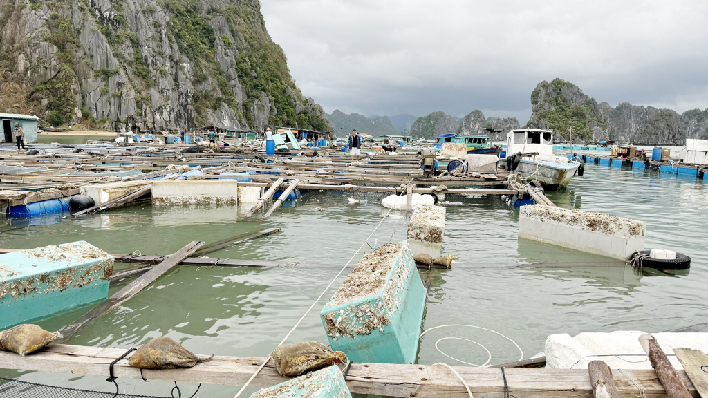 Những ô lồng nuôi cá của người dân Vân Đồn bị bão đánh tan hoang.