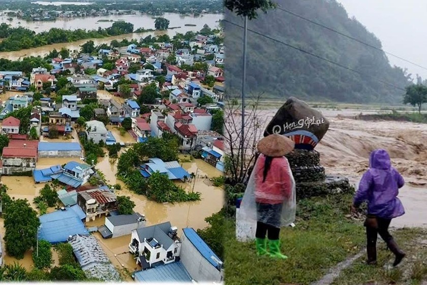 Thiệt hại trong cơn bão số 3.