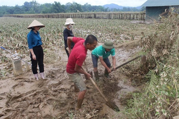 Nhiều diện tích hoa màu trên địa bàn tỉnh Lào Cai bị phá hủy do mưa lũ