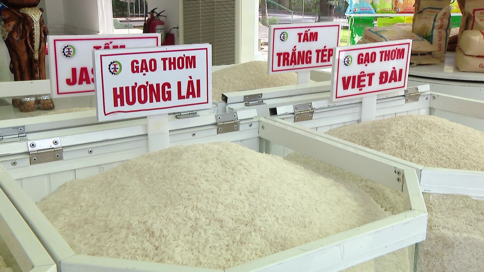 Giá lúa gạo hôm nay 26/9: Giảm với mặt hàng gạo (Ảnh minh họa)