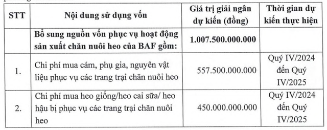 Mục đích huy động vốn của BaF Việt Nam