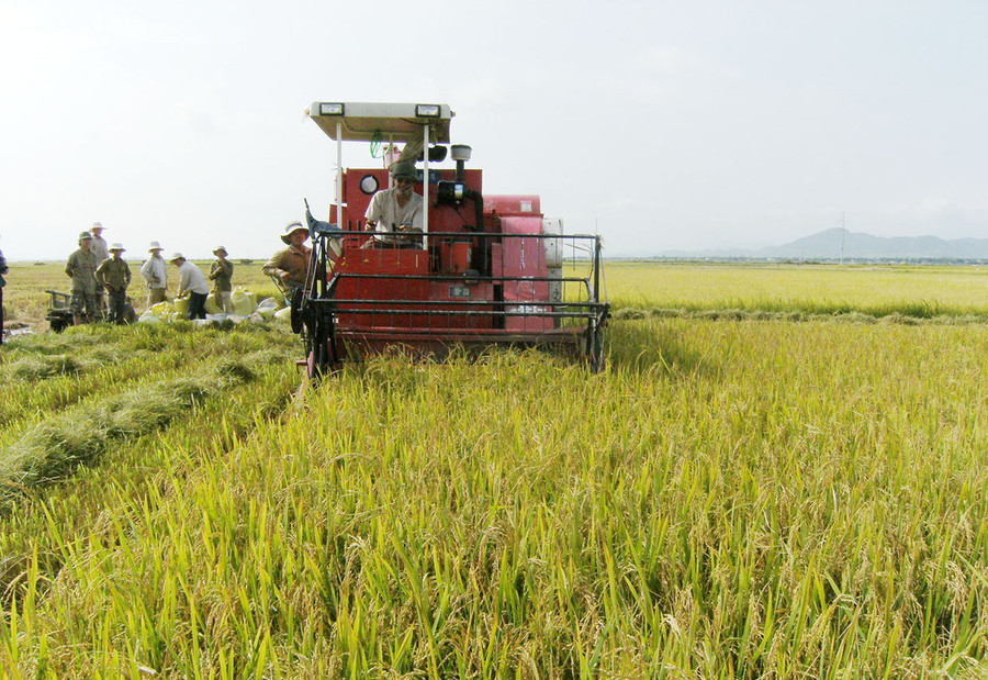 Phát triển nông nghiệp theo hướng bền vững. Ảnh Lê Nam