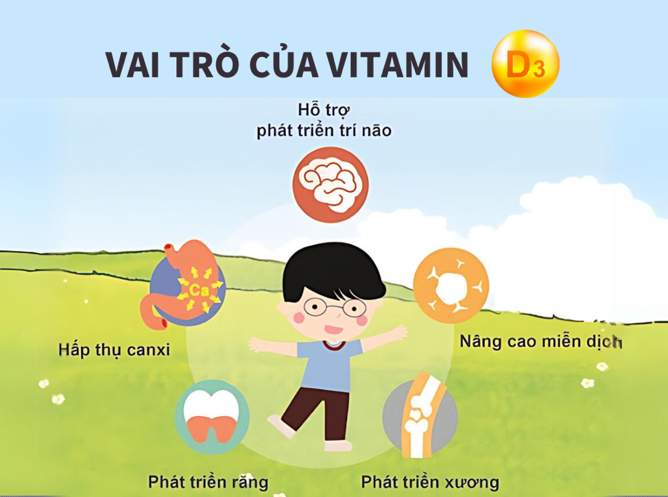 Vitamin D3 có nhiều vai trò quan trọng với cơ thể trẻ