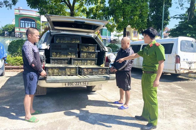 Công an huyện Hải Hà, tỉnh Quảng Ninh kiểm tra phương tiện.