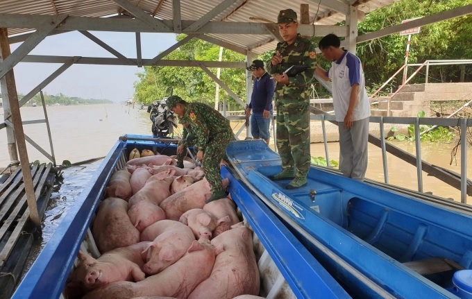 Tăng cường quản lý