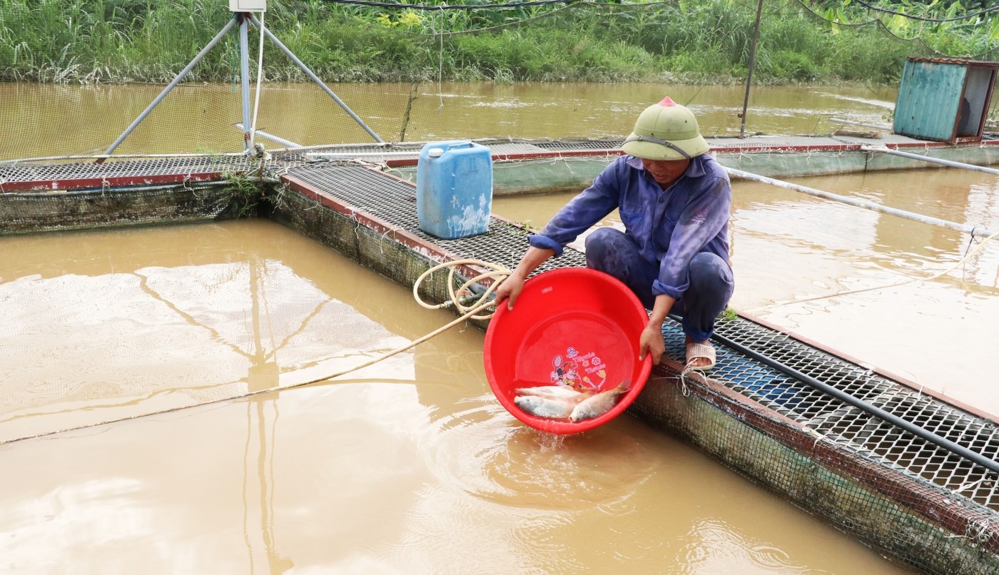 Nuôi cá lồng trên sông ở huyện Lương Tài.