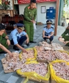 Nghệ An tạm giữ gần 500 kg thực phẩm không rõ nguồn gốc