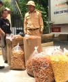 Ninh Bình: Chặn đứng một xe tải chở gần 100kg đồ ăn vặt không rõ nguồn gốc trên Quốc lộ 1A