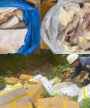 Gia Lai: Tiêu hủy gần 1 tấn thịt heo và đùi gà đông lạnh bốc mùi, không rõ nguồn gốc