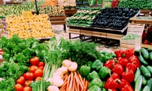 EU công bố danh sách kiểm soát an toàn thực phẩm