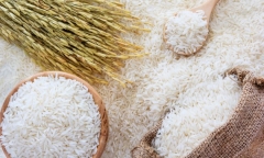 Thị trường gạo Việt Nam đang chuyển biến tích cực, giá chào bán gạo xuất khẩu tăng