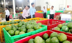 Thị trường là yếu tố quyết định để trái cây Việt Nam hội nhập