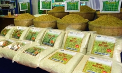 Chặng đường vất vả đưa thương hiệu Việt ra thị trường quốc tế