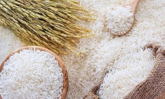 Giá gạo tại Việt Nam liên tục tăng - Giá gạo xuất khẩu điều chính tăng 15 USD/tấn