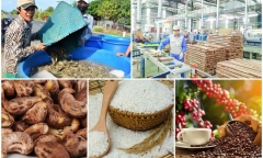 Tập trung tăng sức sản xuất, bảo đảm đủ nguồn cung lương thực thực phẩm những tháng cuối năm