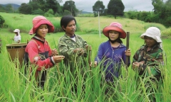 Giảm nghèo là thành tựu trong bảo vệ quyền con người ở Việt Nam