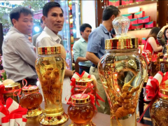Kon Tum : Lần đầu tiên các sản phẩm được chế biến từ sâm Ngọc Linh trình làng Kon Tum : Lần đầu tiên các sản phẩm được chế biến từ sâm Ngọc Linh trình làng
