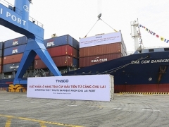 THACO xuất khẩu 30 container chuối từ cảng Chu Lai THACO xuất khẩu 30 container chuối từ cảng Chu Lai
