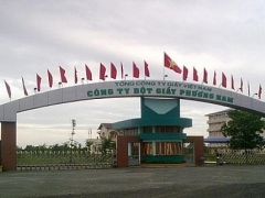 Sắp đấu giá dự án nghìn tỷ "đắp chiếu" của Tổng Công ty Giấy Việt Nam Sắp đấu giá dự án nghìn tỷ "đắp chiếu" của Tổng Công ty Giấy Việt Nam