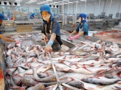 Sau kiểm toán, HVG chuyển từ lãi sang lỗ hơn 134 tỷ đồng Sau kiểm toán, HVG chuyển từ lãi sang lỗ hơn 134 tỷ đồng