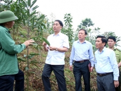 Huyện Định Hóa, Thái Nguyên: Tạo đột phá trong phát triển kinh tế Huyện Định Hóa, Thái Nguyên: Tạo đột phá trong phát triển kinh tế