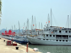 Quảng Ninh: Đình chỉ tàu du lịch vì đặt camera quay lén khách tắm Quảng Ninh: Đình chỉ tàu du lịch vì đặt camera quay lén khách tắm