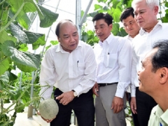 100.000 doanh nghiệp và mục tiêu hàng đầu thế giới về nông sản 100.000 doanh nghiệp và mục tiêu hàng đầu thế giới về nông sản