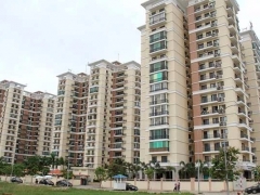 Nhà xa công ty: Dân công sở chạy theo xu hướng thuê nhà trong nội đô Nhà xa công ty: Dân công sở chạy theo xu hướng thuê nhà trong nội đô