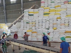 Trong tháng 07/2022 cả nước xuất khẩu gần 600.000 tấn gạo
