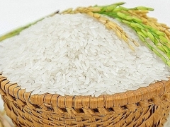Chuyên gia nhận định, giá gạo xuất khẩu điều chỉnh tăng nhờ nhiều yếu tố hỗ trợ