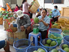 8 nông sản Việt giá trị tỷ USD xuất khẩu nhiều nhất sang Mỹ