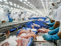 Trung Đông - thị trường xuất khẩu tiềm năng của cá tra năm 2023